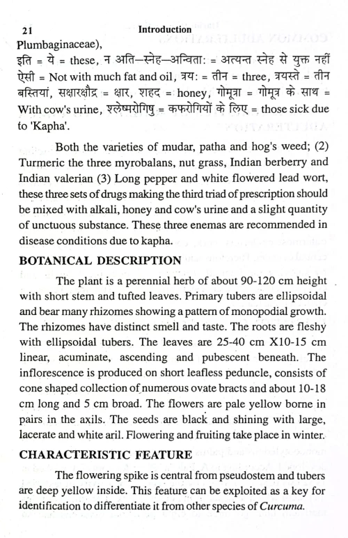 Haridra (Turmeric) : Antibacterial Potenial